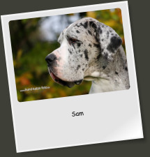 Sam