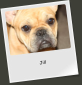 Jill