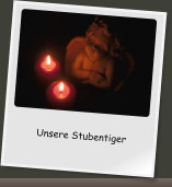 Unsere Stubentiger