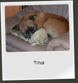 Titus