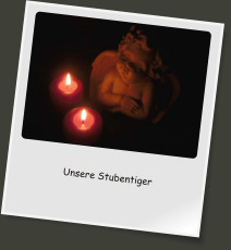 Unsere Stubentiger