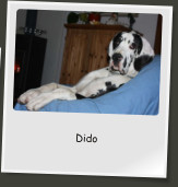 Dido